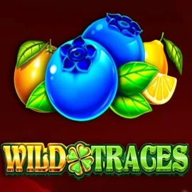 Wild Traces online slot from Amusnet Interactive – play at gg-bets.eu